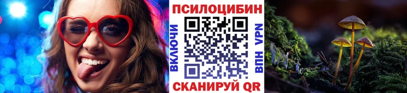 мега зеркало  Рошаль  Псилоцибиновые грибы мицелий  наркошоп 