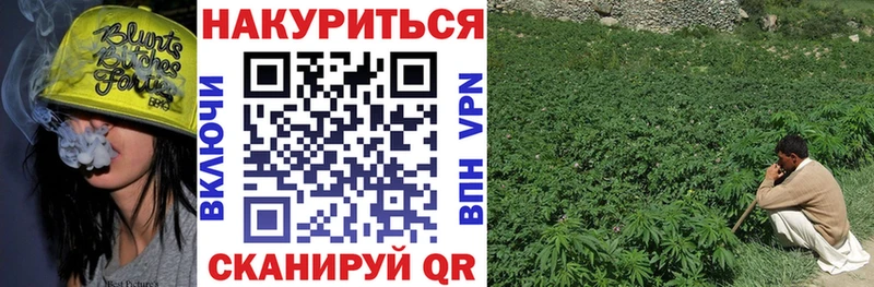 Конопля Amnesia  Рошаль 